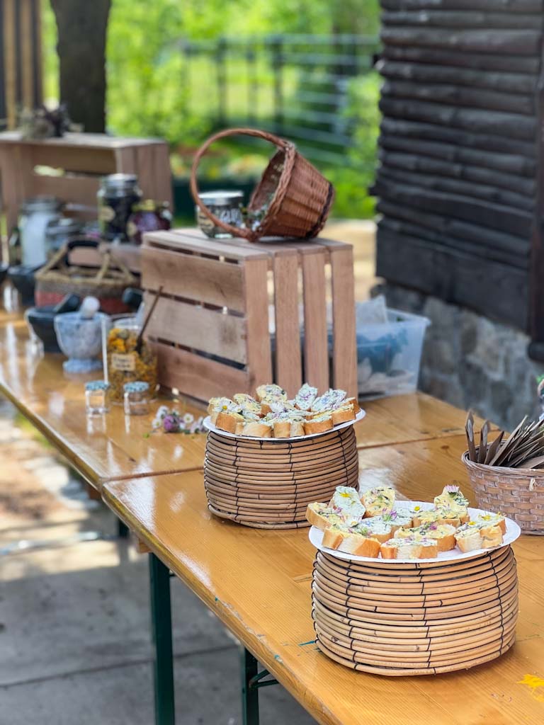 Kräuterworkshop Kräuterkäthchen Teamtag Kräuterwanderung