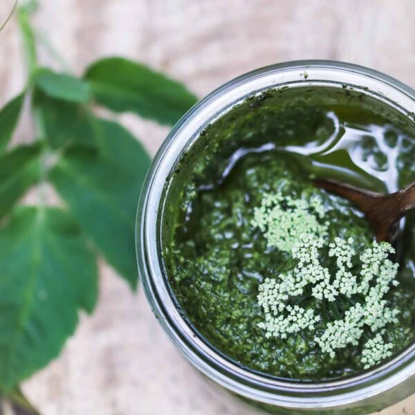 Wildkräuterpesto mit Giersch Kräuterkäthchen