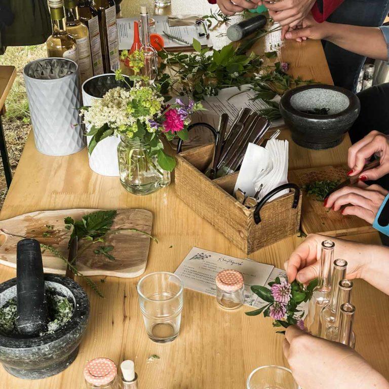 Kräuterwanderung Potsdam Kräuterkäthchen